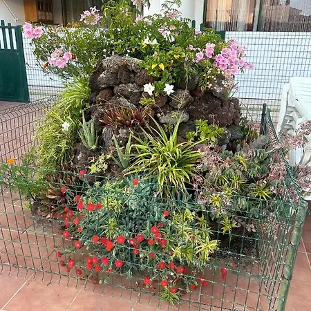 Maspalomas Lägenhet San Bartolomé