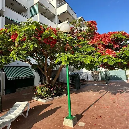 Maspalomas 公寓 San Bartolomé