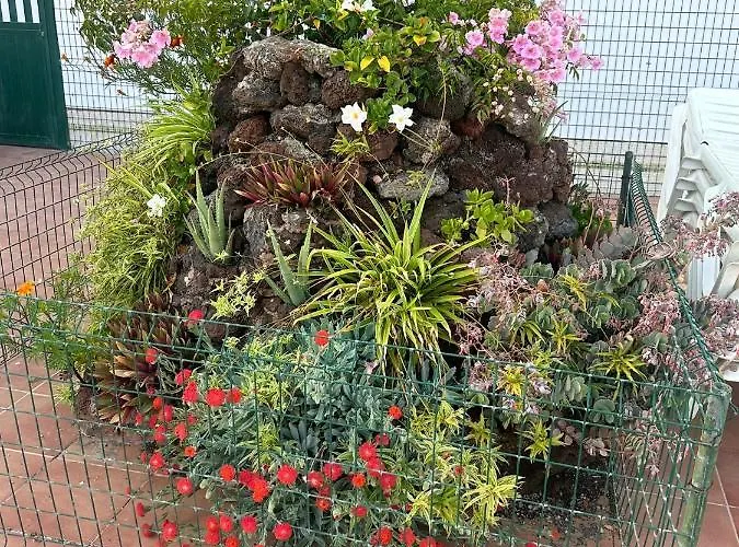 Maspalomas Daire San Bartolomé